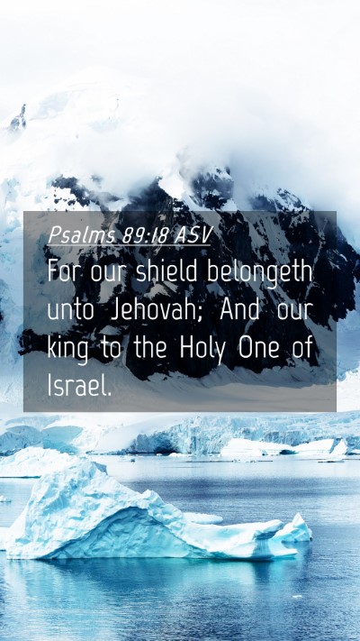 Picture 04 - Psalms 89:18 ASV Mobile Phone Wallpaper - For our shield belongeth unto Jehovah; And our - Mobile Bible Verse Wallpaper
