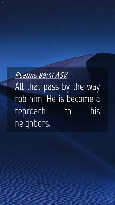 Picture 04 - Psalms 89:41 ASV Mobile Phone Wallpaper - All that pass by the way rob him: He is become a - Mobile Bible Verse Wallpaper