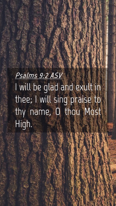 Picture 04 - Psalms 9:2 ASV Mobile Phone Wallpaper - I will be glad and exult in thee; I will sing - Mobile Bible Verse Wallpaper