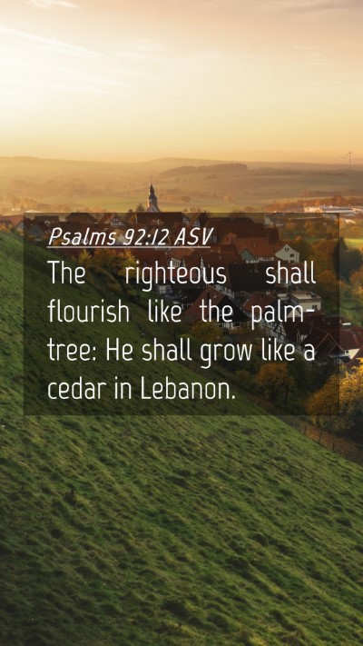 Picture 04 - Psalms 92:12 ASV Mobile Phone Wallpaper - The righteous shall flourish like the palm-tree: - Mobile Bible Verse Wallpaper