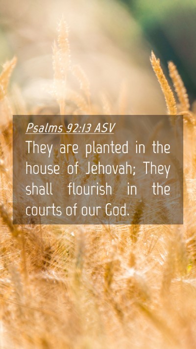 Picture 04 - Psalms 92:13 ASV Mobile Phone Wallpaper - They are planted in the house of Jehovah; They - Mobile Bible Verse Wallpaper