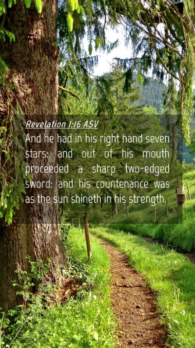 Picture 04 - Revelation 1:16 ASV Mobile Phone Wallpaper - And he had in his right hand seven stars: and out - Mobile Bible Verse Wallpaper