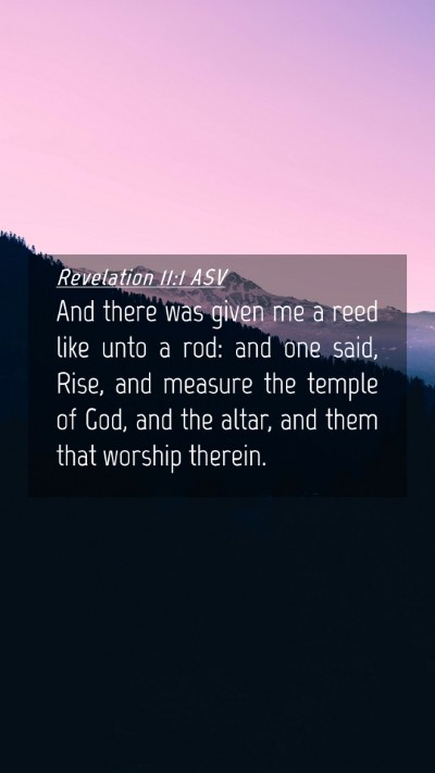 Picture 04 - Revelation 11:1 ASV Mobile Phone Wallpaper - And there was given me a reed like unto a rod: - Mobile Bible Verse Wallpaper