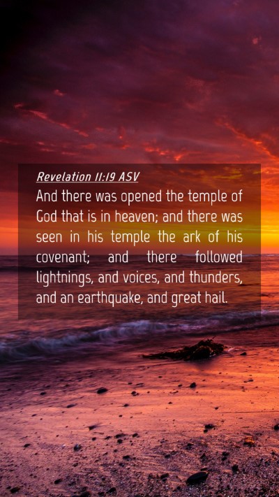 Picture 04 - Revelation 11:19 ASV Mobile Phone Wallpaper - And there was opened the temple of God that is in - Mobile Bible Verse Wallpaper