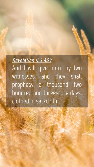 Picture 04 - Revelation 11:3 ASV Mobile Phone Wallpaper - And I will give unto my two witnesses, and they - Mobile Bible Verse Wallpaper