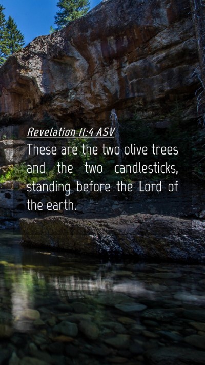 Picture 04 - Revelation 11:4 ASV Mobile Phone Wallpaper - These are the two olive trees and the two - Mobile Bible Verse Wallpaper