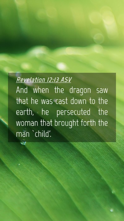 Picture 04 - Revelation 12:13 ASV Mobile Phone Wallpaper - And when the dragon saw that he was cast down to - Mobile Bible Verse Wallpaper