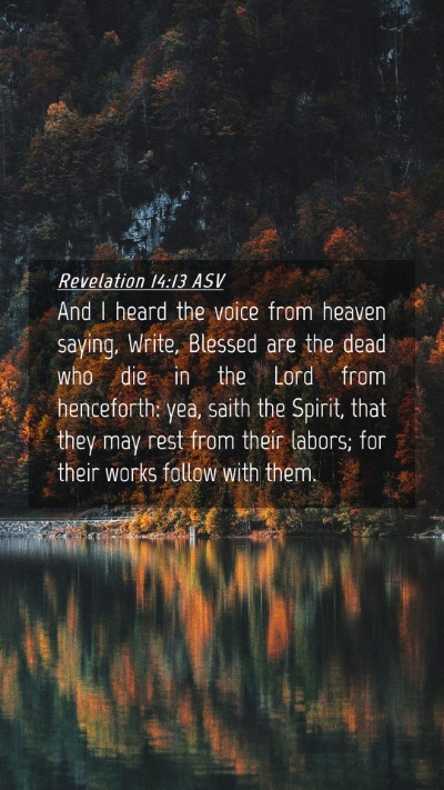 Picture 04 - Revelation 14:13 ASV Mobile Phone Wallpaper - And I heard the voice from heaven saying, Write, - Mobile Bible Verse Wallpaper