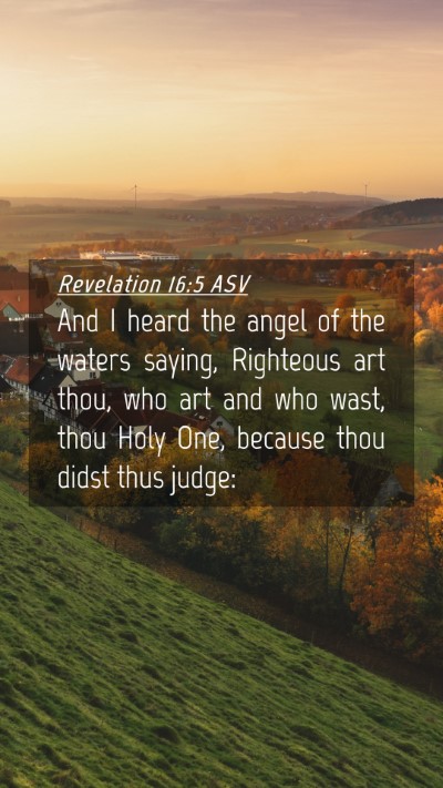 Picture 04 - Revelation 16:5 ASV Mobile Phone Wallpaper - And I heard the angel of the waters saying, - Mobile Bible Verse Wallpaper
