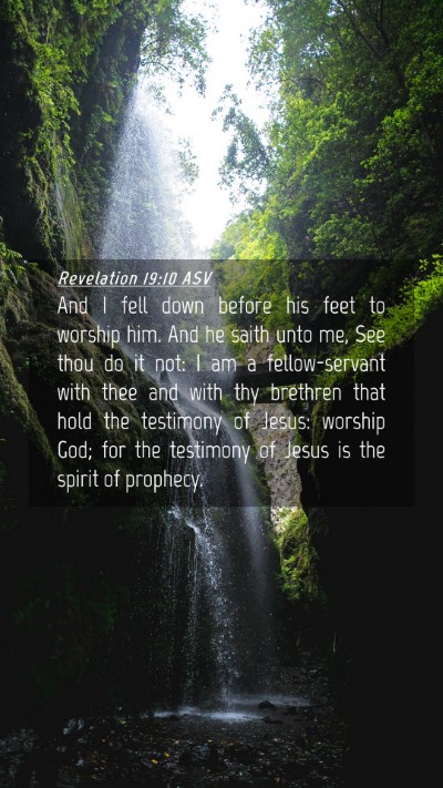Picture 04 - Revelation 19:10 ASV Mobile Phone Wallpaper - And I fell down before his feet to worship him. - Mobile Bible Verse Wallpaper