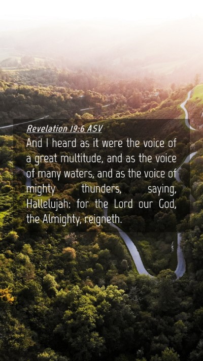 Picture 04 - Revelation 19:6 ASV Mobile Phone Wallpaper - And I heard as it were the voice of a great - Mobile Bible Verse Wallpaper