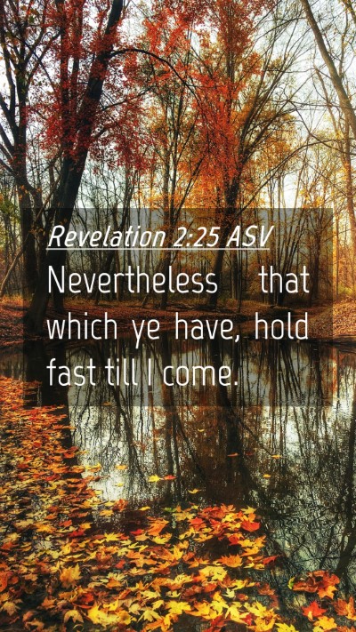 Picture 04 - Revelation 2:25 ASV Mobile Phone Wallpaper - Nevertheless that which ye have, hold fast till I - Mobile Bible Verse Wallpaper