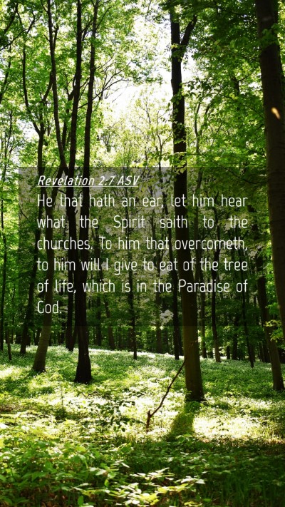 Picture 04 - Revelation 2:7 ASV Mobile Phone Wallpaper - He that hath an ear, let him hear what the Spirit - Mobile Bible Verse Wallpaper