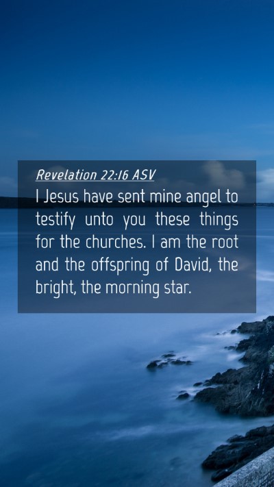 Picture 04 - Revelation 22:16 ASV Mobile Phone Wallpaper - I Jesus have sent mine angel to testify unto you - Mobile Bible Verse Wallpaper