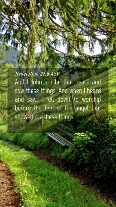 Picture 04 - Revelation 22:8 ASV Mobile Phone Wallpaper - And I John am he that heard and saw these things. - Mobile Bible Verse Wallpaper