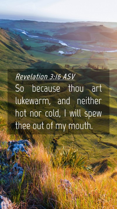 Picture 04 - Revelation 3:16 ASV Mobile Phone Wallpaper - So because thou art lukewarm, and neither hot nor - Mobile Bible Verse Wallpaper