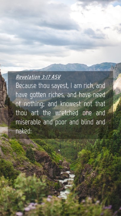 Picture 04 - Revelation 3:17 ASV Mobile Phone Wallpaper - Because thou sayest, I am rich, and have gotten - Mobile Bible Verse Wallpaper