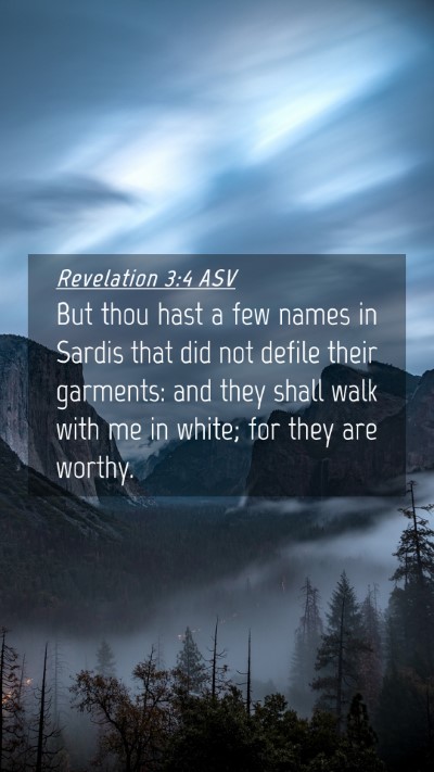 Picture 04 - Revelation 3:4 ASV Mobile Phone Wallpaper - But thou hast a few names in Sardis that did not - Mobile Bible Verse Wallpaper