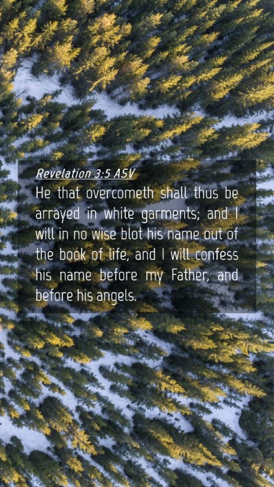 Picture 04 - Revelation 3:5 ASV Mobile Phone Wallpaper - He that overcometh shall thus be arrayed in white - Mobile Bible Verse Wallpaper