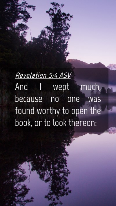 Picture 04 - Revelation 5:4 ASV Mobile Phone Wallpaper - And I wept much, because no one was found worthy - Mobile Bible Verse Wallpaper