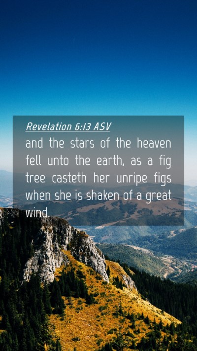 Picture 04 - Revelation 6:13 ASV Mobile Phone Wallpaper - and the stars of the heaven fell unto the earth, - Mobile Bible Verse Wallpaper
