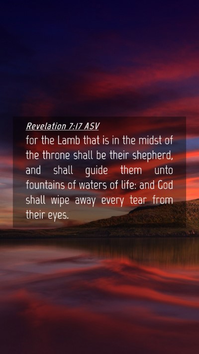 Picture 04 - Revelation 7:17 ASV Mobile Phone Wallpaper - for the Lamb that is in the midst of the throne - Mobile Bible Verse Wallpaper