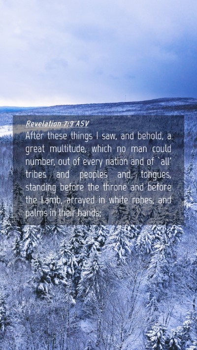 Picture 04 - Revelation 7:9 ASV Mobile Phone Wallpaper - After these things I saw, and behold, a great - Mobile Bible Verse Wallpaper