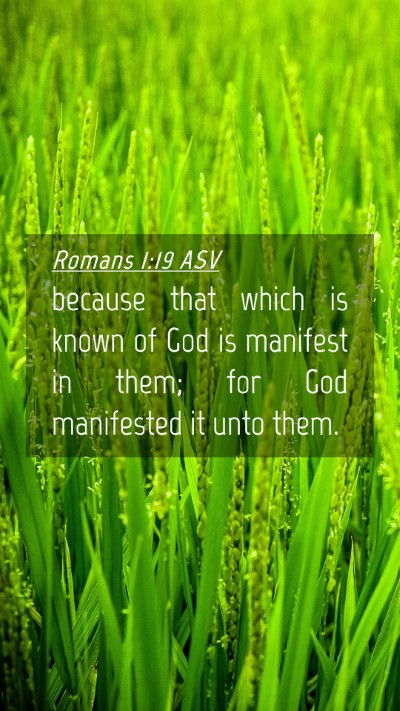 Picture 04 - Romans 1:19 ASV Mobile Phone Wallpaper - because that which is known of God is manifest in - Mobile Bible Verse Wallpaper