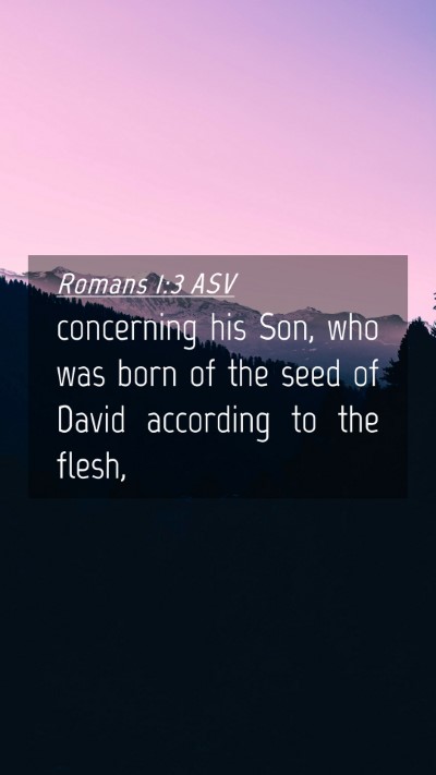 Picture 04 - Romans 1:3 ASV Mobile Phone Wallpaper - concerning his Son, who was born of the seed of - Mobile Bible Verse Wallpaper
