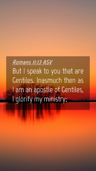 Picture 04 - Romans 11:13 ASV Mobile Phone Wallpaper - But I speak to you that are Gentiles. Inasmuch - Mobile Bible Verse Wallpaper