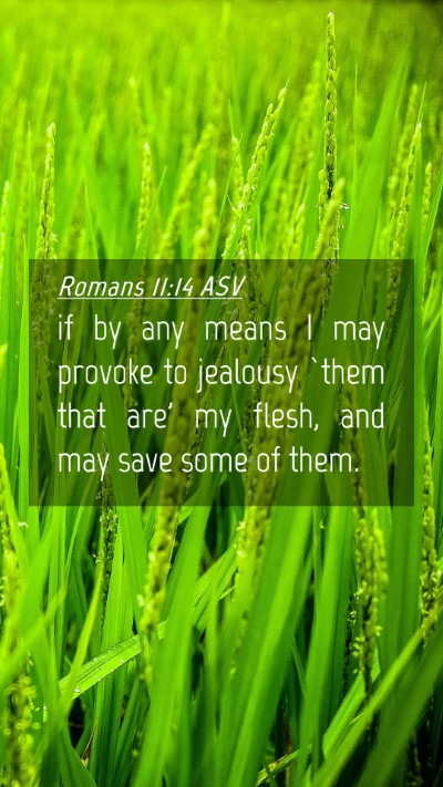 Picture 04 - Romans 11:14 ASV Mobile Phone Wallpaper - if by any means I may provoke to jealousy `them - Mobile Bible Verse Wallpaper