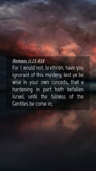 Picture 04 - Romans 11:25 ASV Mobile Phone Wallpaper - For I would not, brethren, have you ignorant of - Mobile Bible Verse Wallpaper