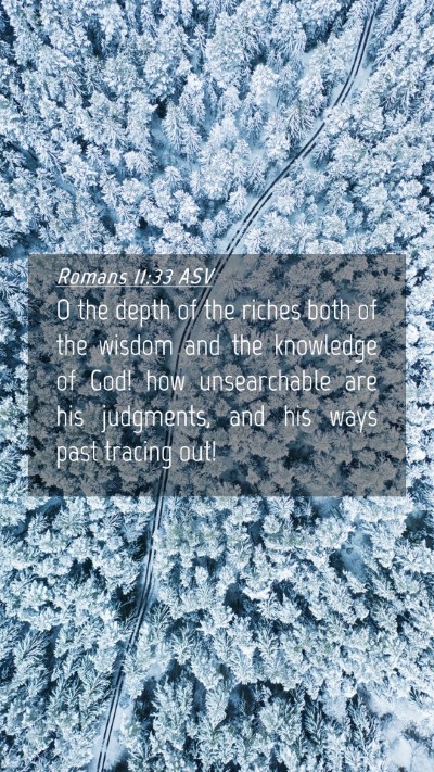 Picture 04 - Romans 11:33 ASV Mobile Phone Wallpaper - O the depth of the riches both of the wisdom and - Mobile Bible Verse Wallpaper