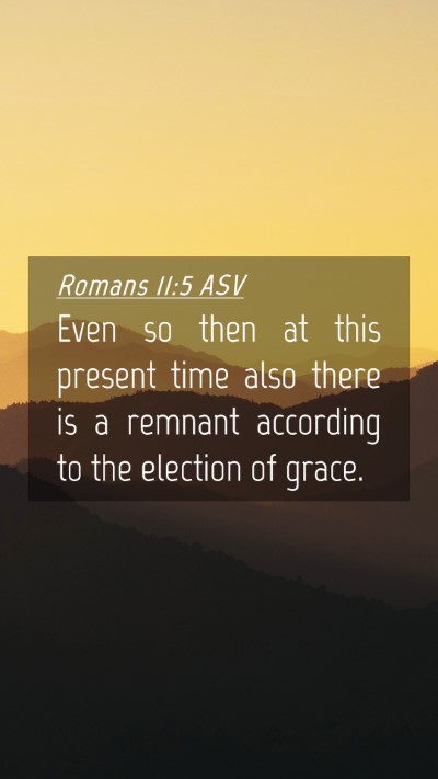 Picture 04 - Romans 11:5 ASV Mobile Phone Wallpaper - Even so then at this present time also there is a - Mobile Bible Verse Wallpaper