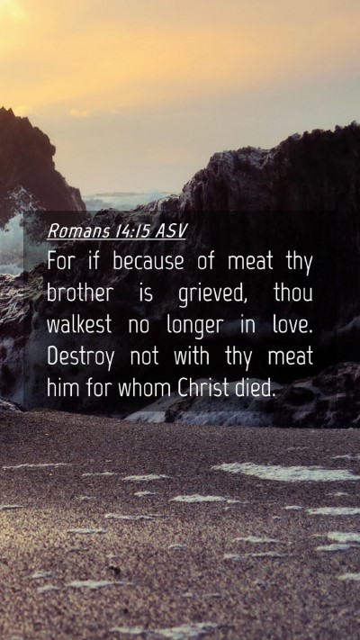 Picture 04 - Romans 14:15 ASV Mobile Phone Wallpaper - For if because of meat thy brother is grieved, - Mobile Bible Verse Wallpaper