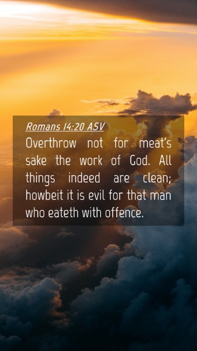 Picture 04 - Romans 14:20 ASV Mobile Phone Wallpaper - Overthrow not for meat's sake the work of God. - Mobile Bible Verse Wallpaper