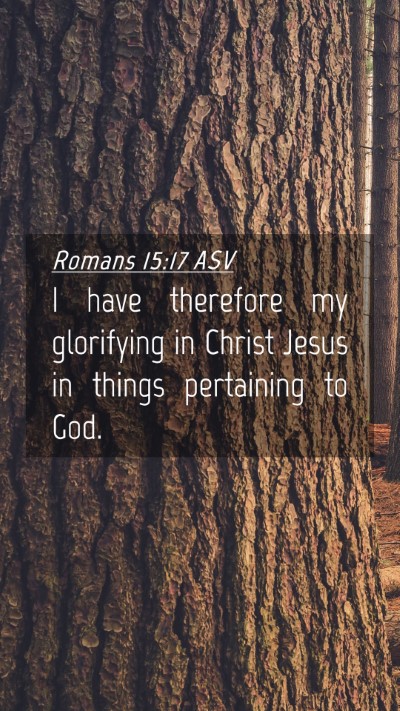 Picture 04 - Romans 15:17 ASV Mobile Phone Wallpaper - I have therefore my glorifying in Christ Jesus in - Mobile Bible Verse Wallpaper