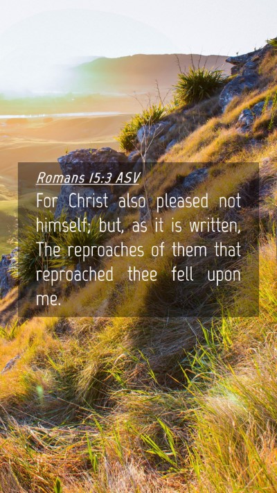Picture 04 - Romans 15:3 ASV Mobile Phone Wallpaper - For Christ also pleased not himself; but, as it - Mobile Bible Verse Wallpaper