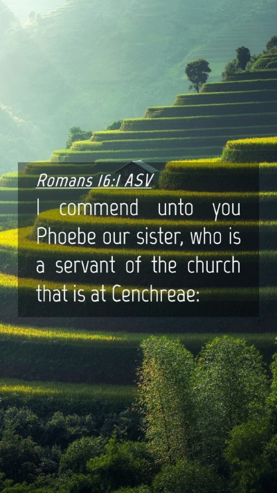 Picture 04 - Romans 16:1 ASV Mobile Phone Wallpaper - I commend unto you Phoebe our sister, who is a - Mobile Bible Verse Wallpaper