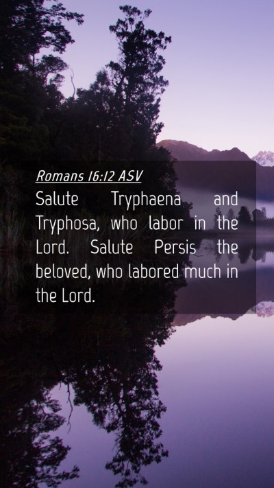 Picture 04 - Romans 16:12 ASV Mobile Phone Wallpaper - Salute Tryphaena and Tryphosa, who labor in the - Mobile Bible Verse Wallpaper