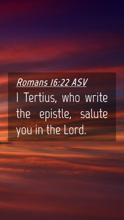 Picture 04 - Romans 16:22 ASV Mobile Phone Wallpaper - I Tertius, who write the epistle, salute you in - Mobile Bible Verse Wallpaper