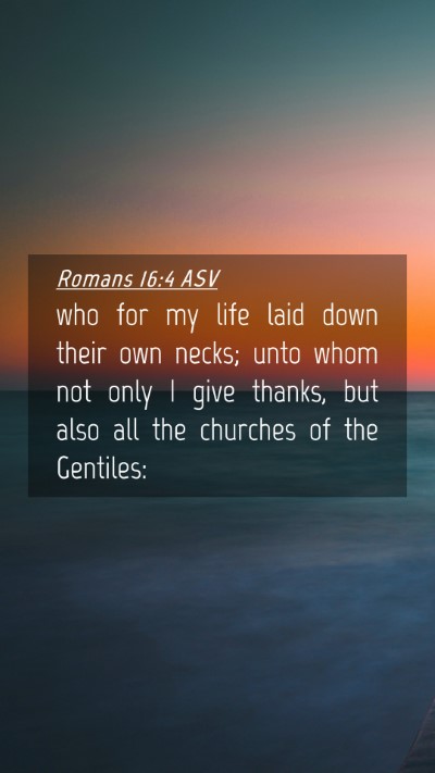 Picture 04 - Romans 16:4 ASV Mobile Phone Wallpaper - who for my life laid down their own necks; unto - Mobile Bible Verse Wallpaper