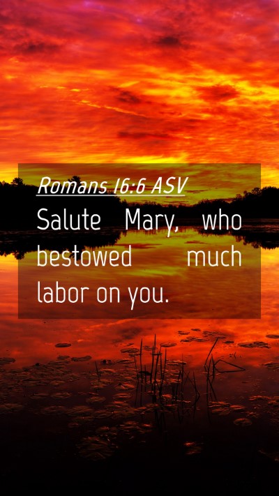 Picture 04 - Romans 16:6 ASV Mobile Phone Wallpaper - Salute Mary, who bestowed much labor on - Mobile Bible Verse Wallpaper