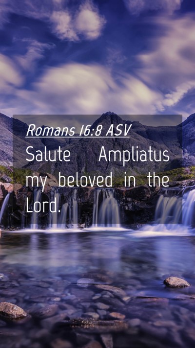 Picture 04 - Romans 16:8 ASV Mobile Phone Wallpaper - Salute Ampliatus my beloved in the - Mobile Bible Verse Wallpaper