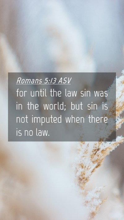 Picture 04 - Romans 5:13 ASV Mobile Phone Wallpaper - for until the law sin was in the world; but sin - Mobile Bible Verse Wallpaper
