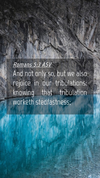 Picture 04 - Romans 5:3 ASV Mobile Phone Wallpaper - And not only so, but we also rejoice in our - Mobile Bible Verse Wallpaper