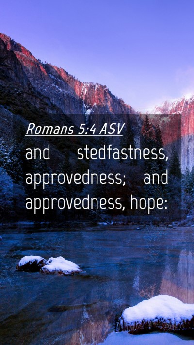 Picture 04 - Romans 5:4 ASV Mobile Phone Wallpaper - and stedfastness, approvedness; and approvedness, - Mobile Bible Verse Wallpaper