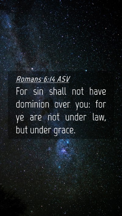 Picture 04 - Romans 6:14 ASV Mobile Phone Wallpaper - For sin shall not have dominion over you: for ye - Mobile Bible Verse Wallpaper