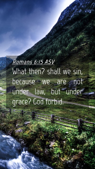 Picture 04 - Romans 6:15 ASV Mobile Phone Wallpaper - What then? shall we sin, because we are not under - Mobile Bible Verse Wallpaper