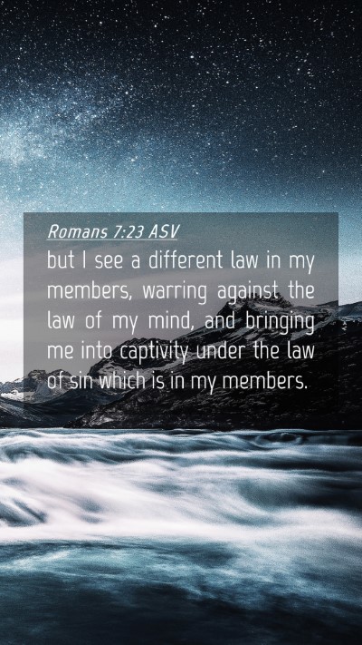 Picture 04 - Romans 7:23 ASV Mobile Phone Wallpaper - but I see a different law in my members, warring - Mobile Bible Verse Wallpaper